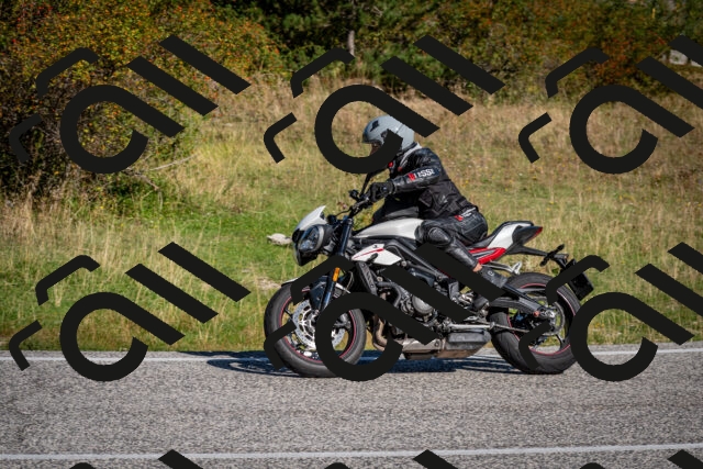 202509061019-DSC_9943_c2