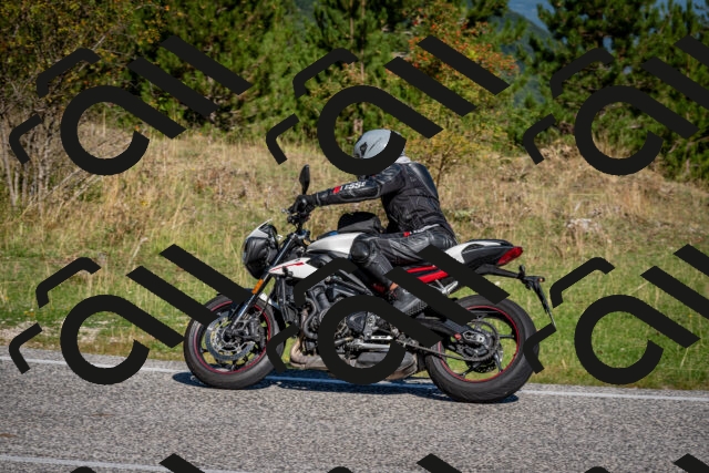 202509061019-DSC_9944_c2