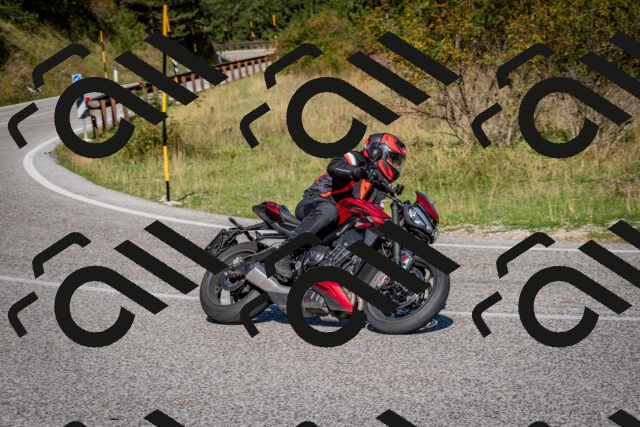 202509061024-DSC_9953_c2