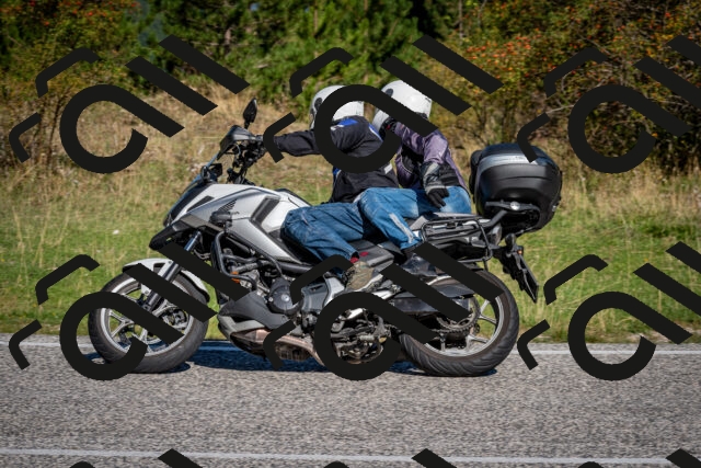 202509061025-DSC_9958_c2