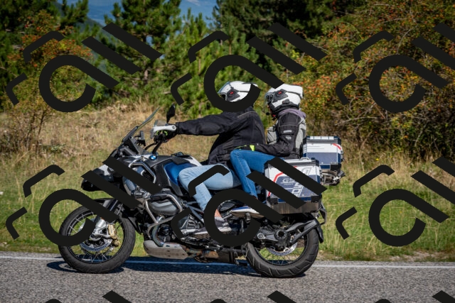 202509061031-DSC_9973_c2