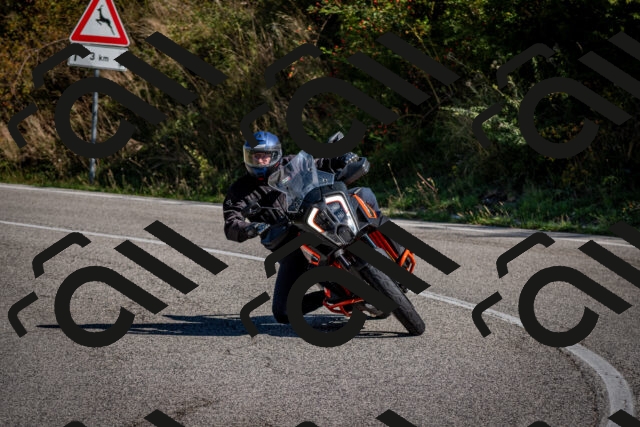 202509061034-DSC_9976_c2