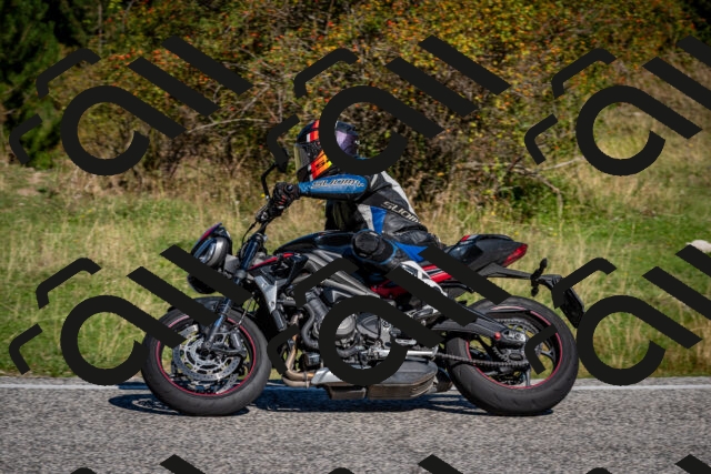 202509061034-DSC_9979_c2