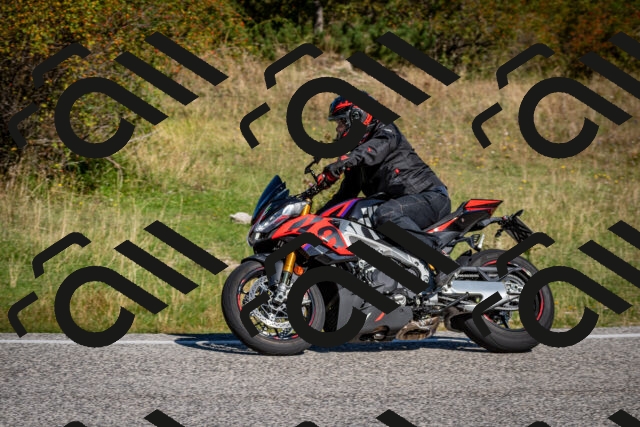 202509061034-DSC_9982_c2