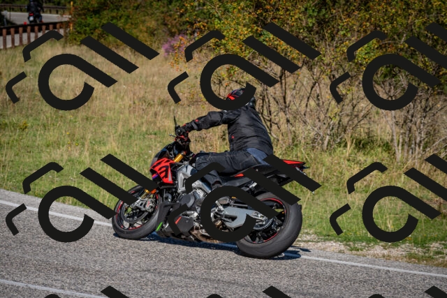 202509061034-DSC_9983_c2