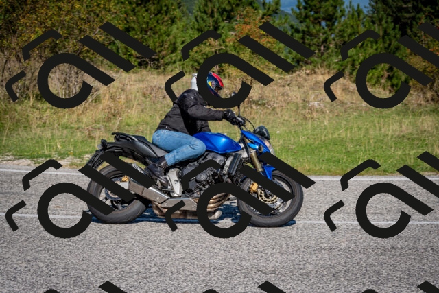 202509061035-DSC_9989_c2