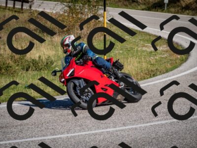 202509061035-DSC_9990_c2