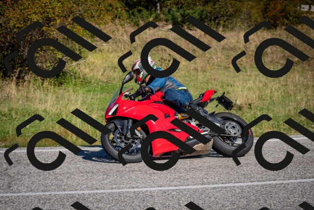 202509061035-DSC_9991_c2