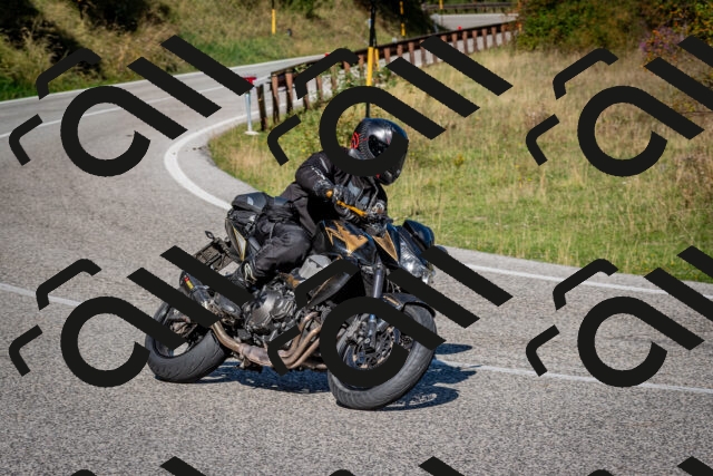 202509061041-DSC_0003_c2