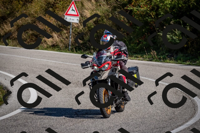 202509061041-DSC_9997_c2