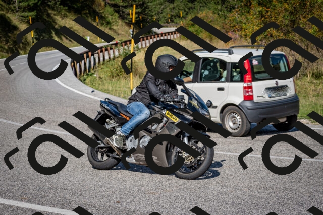 202509061044-DSC_0029_c2