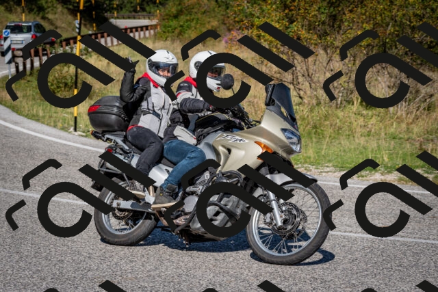 202509061044-DSC_0033_c2