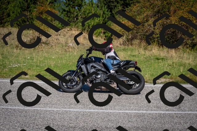 202509061046-DSC_0055_c2