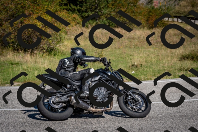 202509061047-DSC_0075_c2