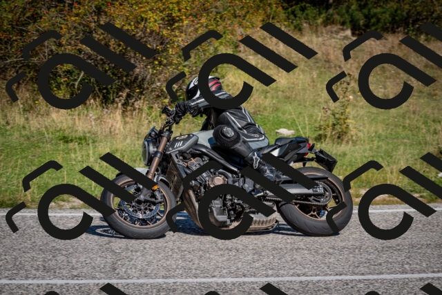 202509061048-DSC_0084_c2