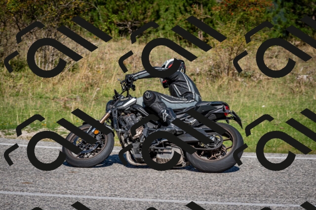 202509061048-DSC_0085_c2