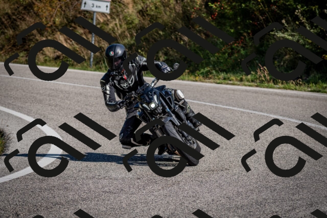 202509061051-DSC_0107_c2