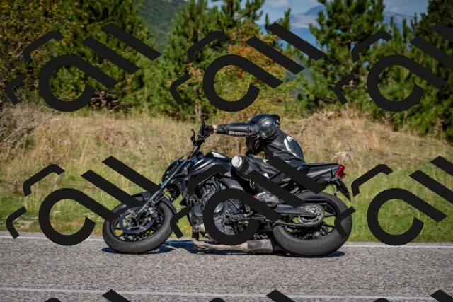 202509061051-DSC_0109_c2