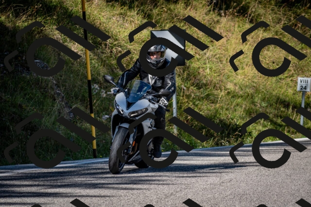 202509061052-DSC_0114_c2