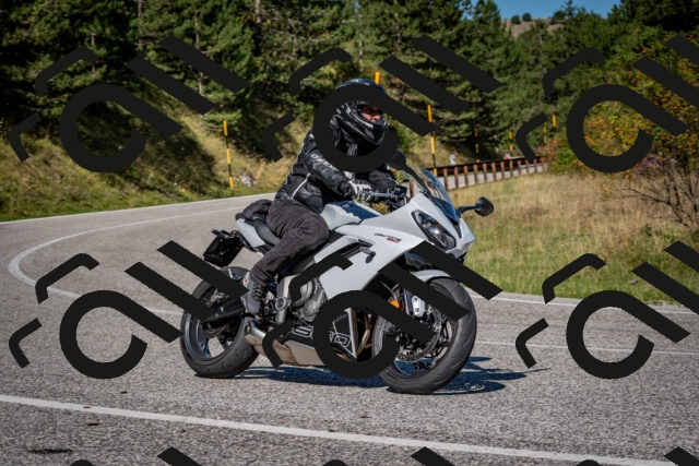 202509061052-DSC_0116_c2