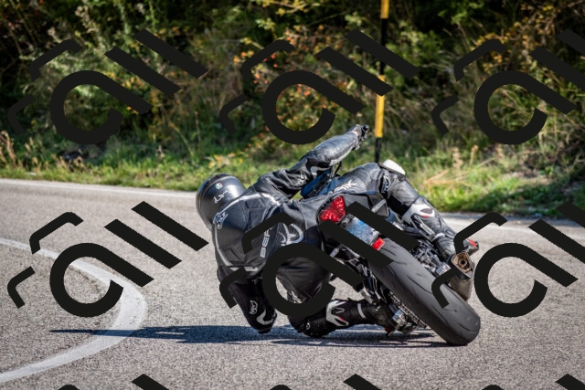 202509061052-DSC_0127_c2