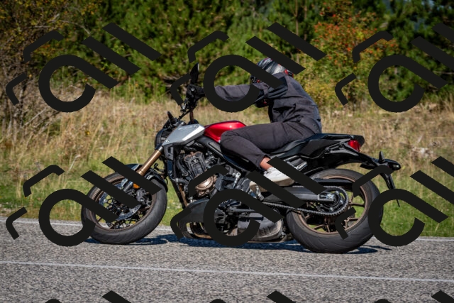 202509061053-DSC_0132_c2