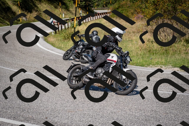 202509061053-DSC_0137_c2