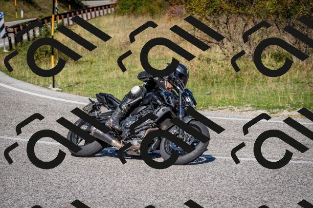 202509061055-DSC_0145_c2