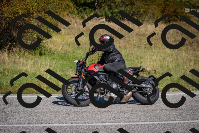 202509061056-DSC_0156_c2