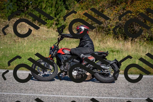 202509061056-DSC_0157_c2