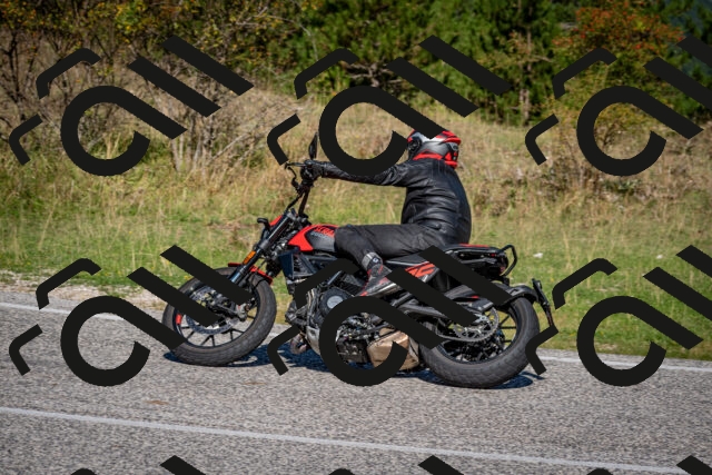 202509061056-DSC_0158_c2