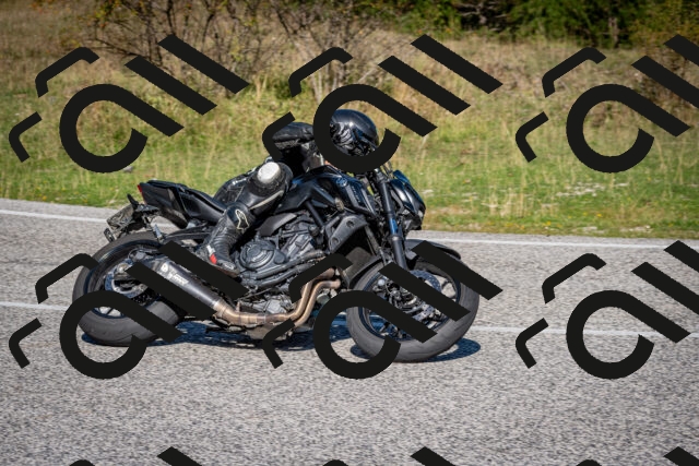 202509061059-DSC_0169_c2