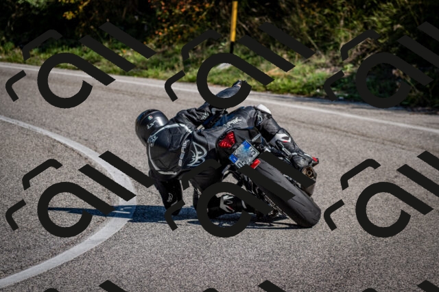 202509061059-DSC_0173_c2