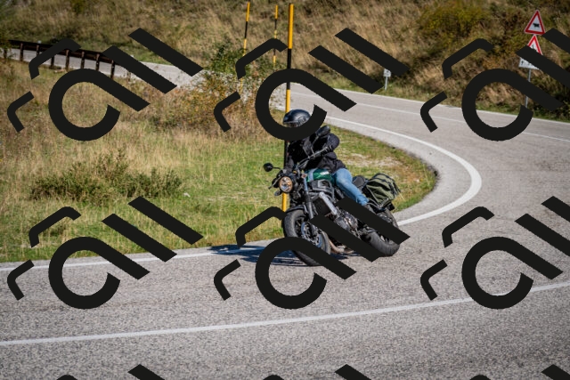 202509061059-DSC_0188_c2