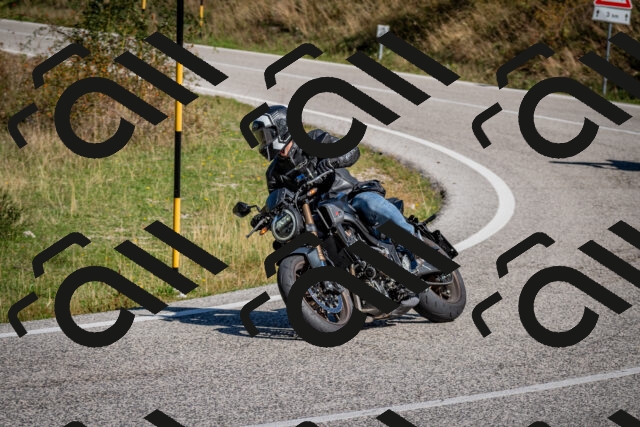 202509061101-DSC_0208_c2