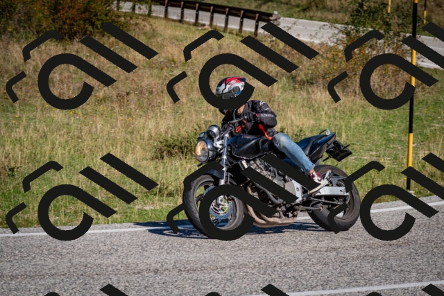 202509061101-DSC_0211_c2