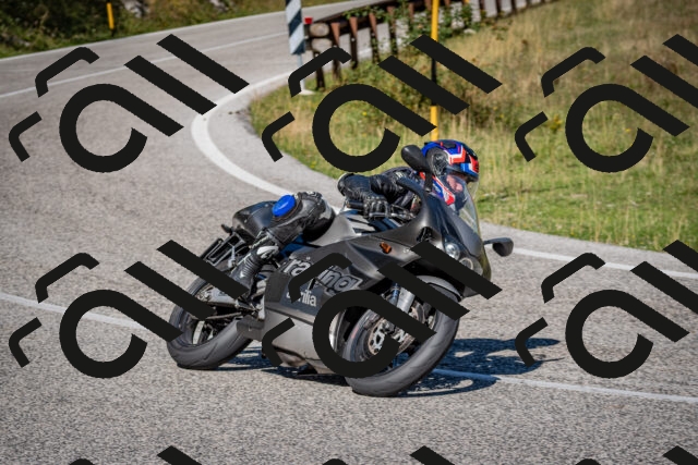 202509061104-DSC_0228_c2