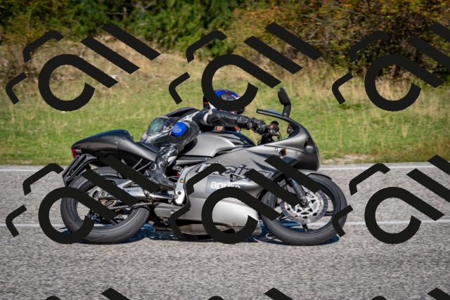 202509061104-DSC_0229_c2