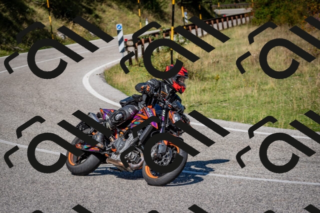 202509061111-DSC_0264_c2