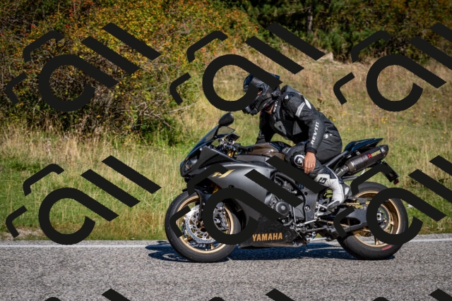 202509061111-DSC_0267_c2