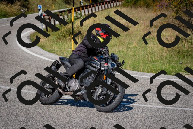 202509061111-DSC_0272_c2