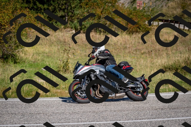 202509061111-DSC_0279_c2