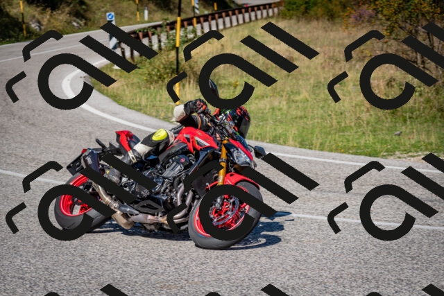 202509061111-DSC_0286_c2