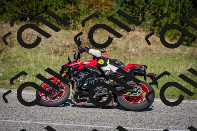 202509061113-DSC_0307_c2