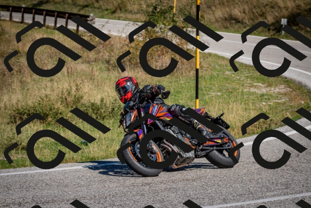 202509061113-DSC_0312_c2