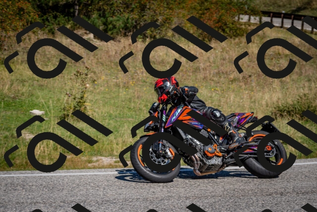 202509061113-DSC_0313_c2