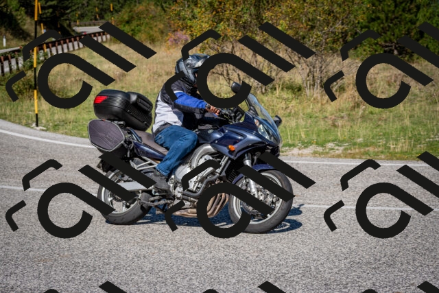 202509061114-DSC_0315_c2