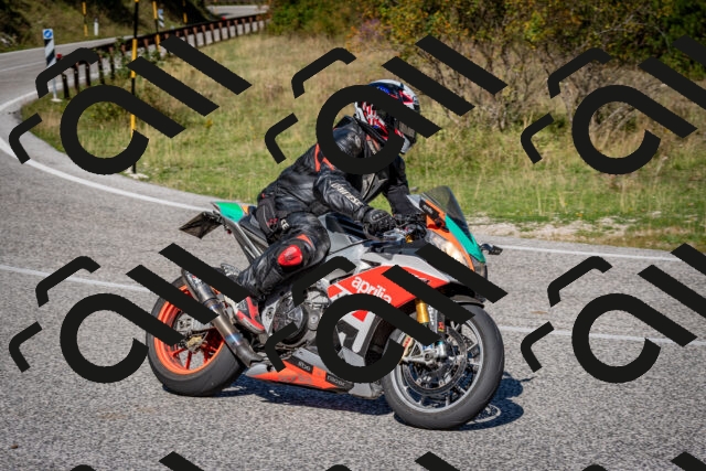 202509061115-DSC_0318_c2