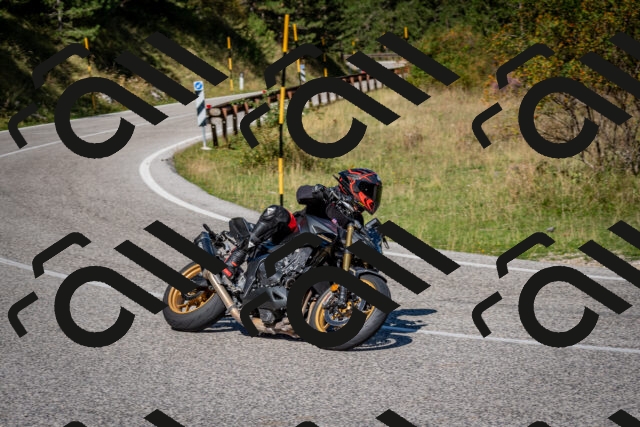 202509061116-DSC_0328_c2