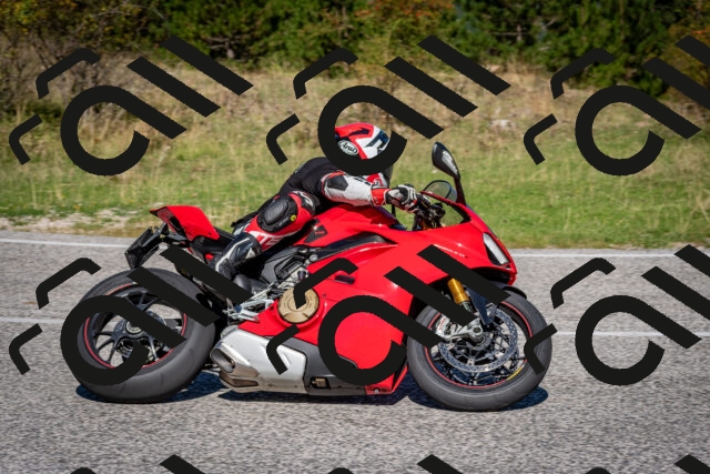 202509061116-DSC_0331_c2